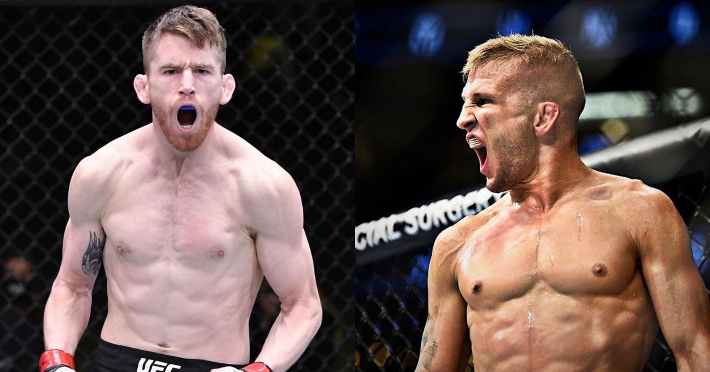 Ufc Fight Night Sandhagen Vs Dillashaw Preview And Prediction Sports