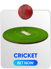Cricket