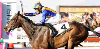 master sabina wins sansui summer cup