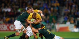 Australia v South Africa Rugby Championship Preview