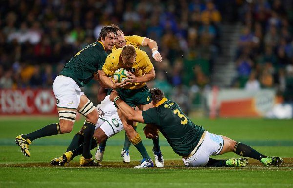 Australia v South Africa Rugby Championship Preview