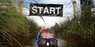 bog snorkelling