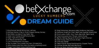 Lotto Dream Guide
