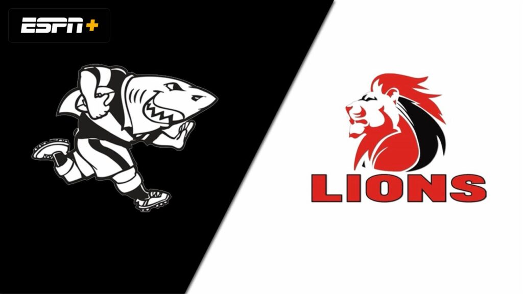 URC Showdown: Lions Roar Against Sharks in Championship Clash