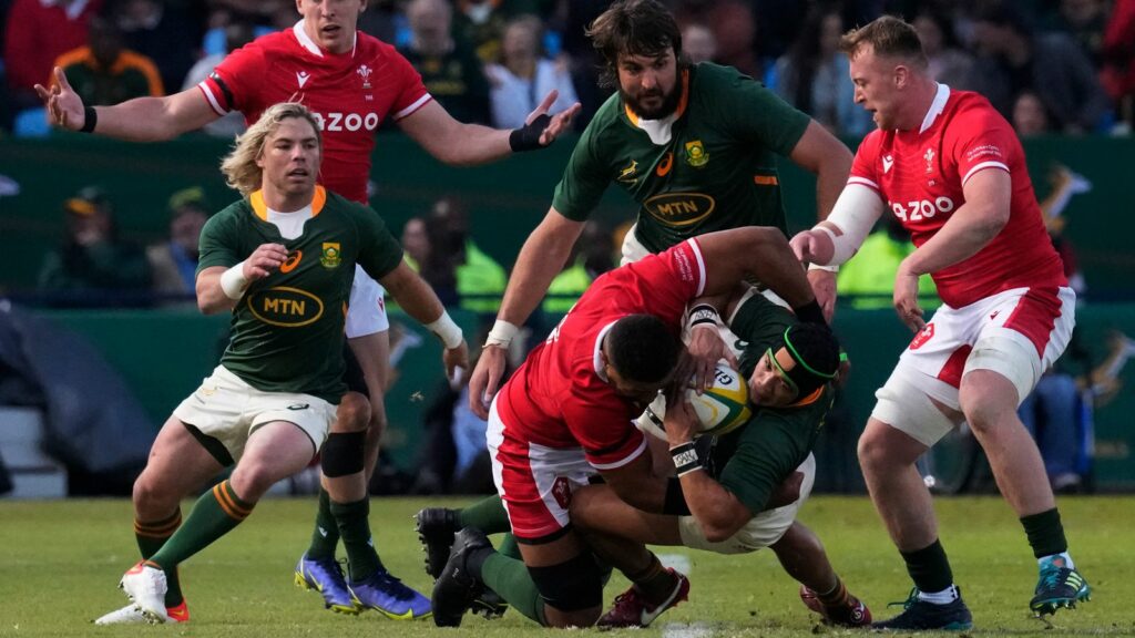 Clash of Titans: Previewing the Springboks vs Wales Rugby Showdown