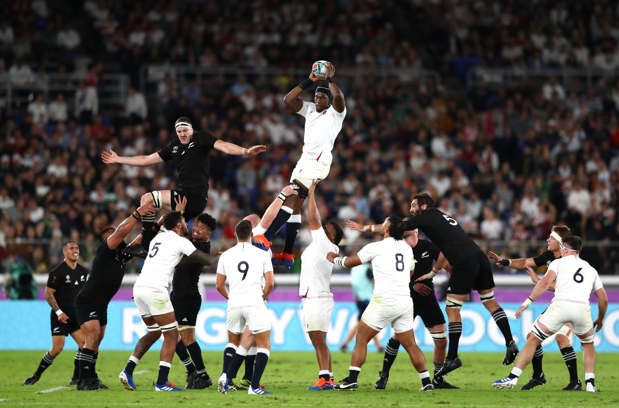 England vs New Zealand Showdown What to Expect from This Rugby