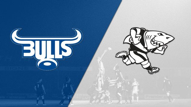 URC Thriller: Bulls and Sharks Collide in High-Stakes Duel!