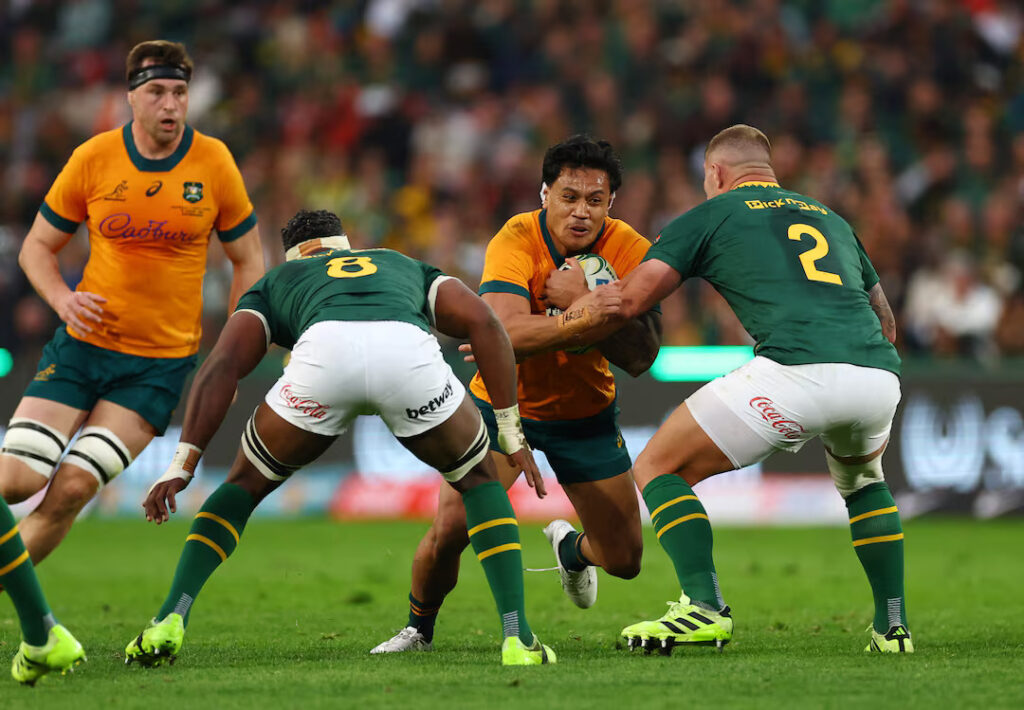 Rugby Championship: Will South Africa VS Australia Be Revenge Or Domination