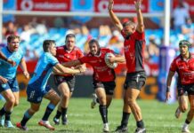 Lions Visit Bulls In the Pick Of URC Round 6 Matches This Weekend