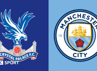 EPL: Crystal Palace VS Manchester City Preview, Odds, Predictions